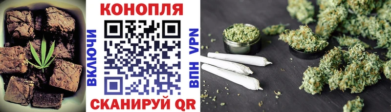 Canna-Cookies конопля где можно купить Болхов