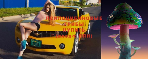 шишки Михайловка