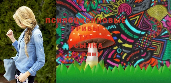 шишки Михайловка