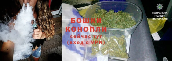 молекула духа Михайловск