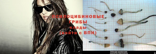 ГАЛЛЮЦИНОГЕННЫЕ ГРИБЫ Надым