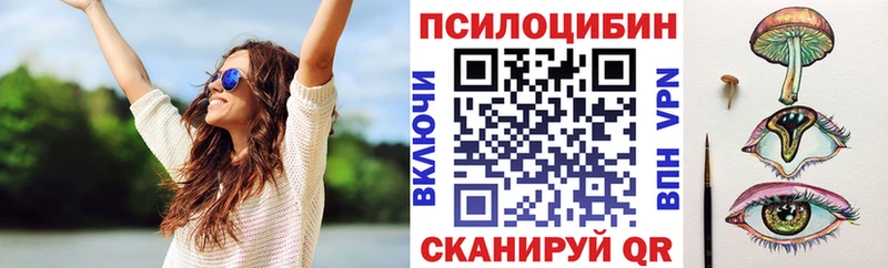 Псилоцибиновые грибы Psilocybe купить закладку Болхов